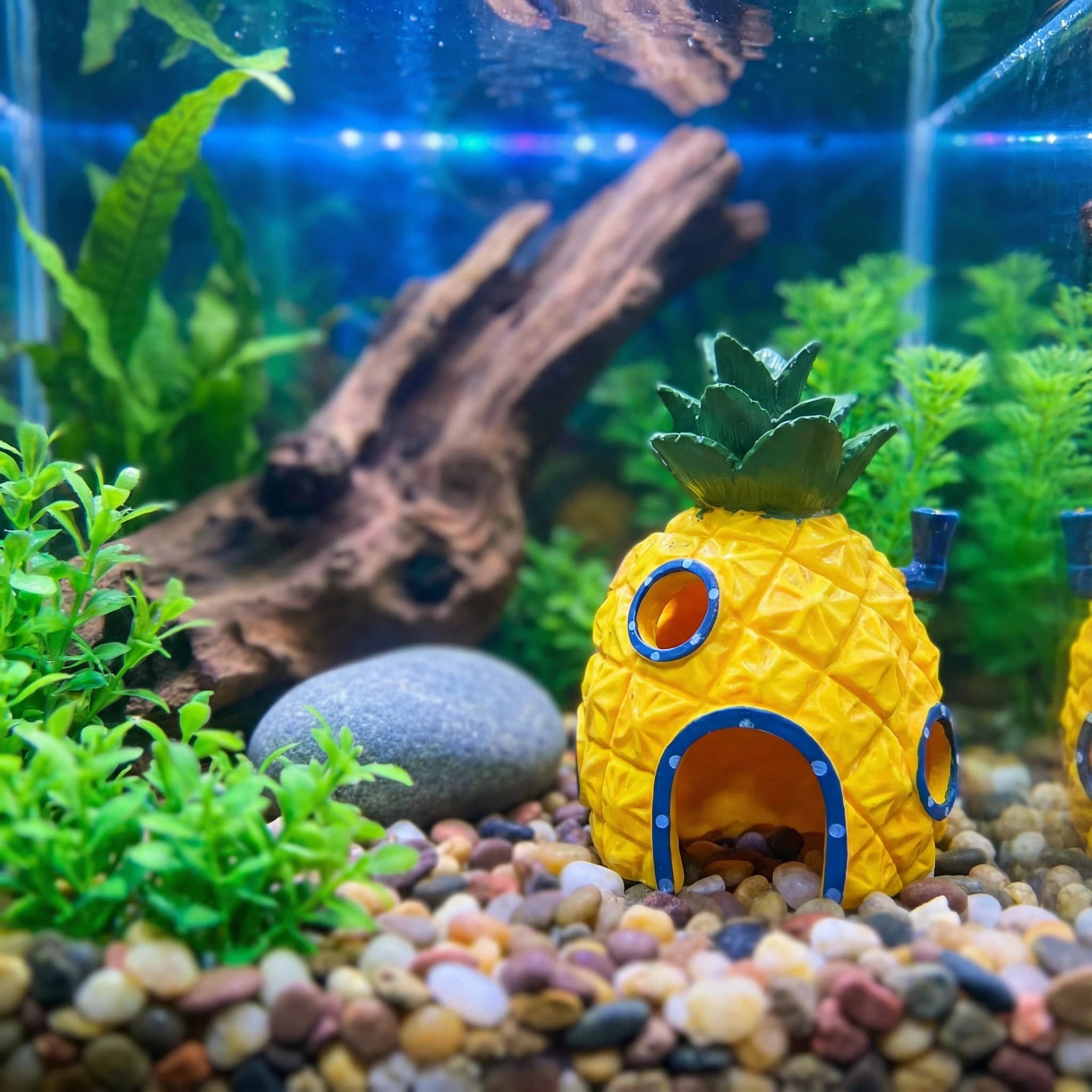 Aquarium Fish Games - パイナップルハウス水族館装飾、エコフレンドリーな樹脂製ベタエビ用隠れ家、滑らかなエッジの水槽装飾品 4.52インチ