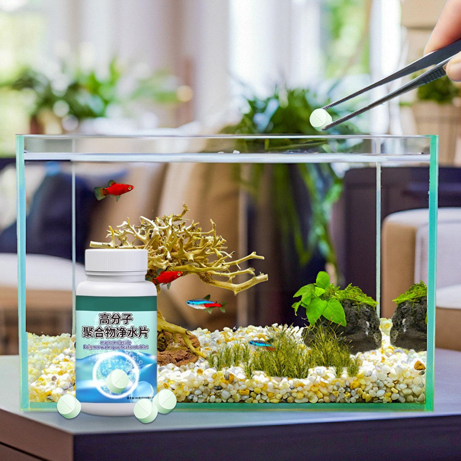 魚の水槽藻類除去剤、水槽浄化タブレット、噴水、ベタ、エビ、カ - Aquarium Fish Medicine のレビューと価格