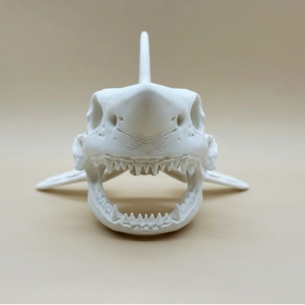 3Dプリント製サメの頭蓋骨スケルトンコスプレ小道具、水槽飾り - Aquarium Fish Games のレビューと価格