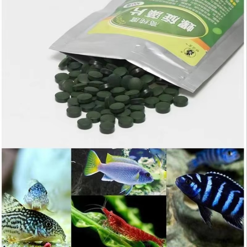 50/100/200/300個入り 水槽用魚のエサ 小魚用餌 - Aquarium Fish Vitamin のレビューと価格