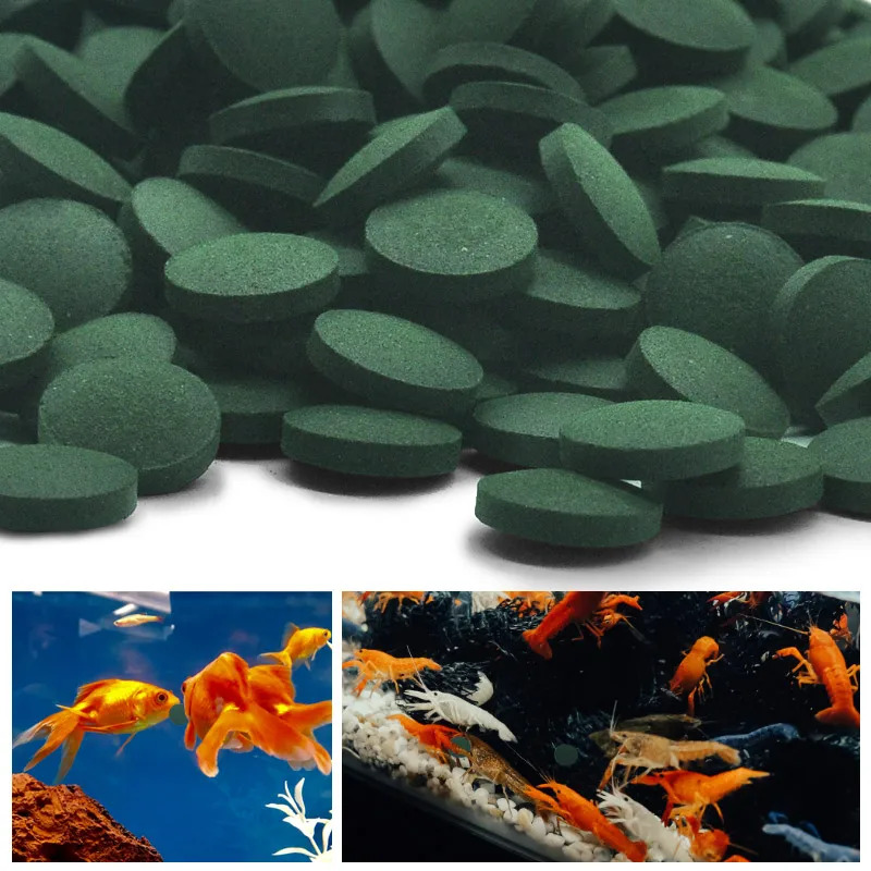 50/100/200/300個入り 水槽用魚のエサ 小魚用餌 - Aquarium Fish Vitamin のレビューと価格