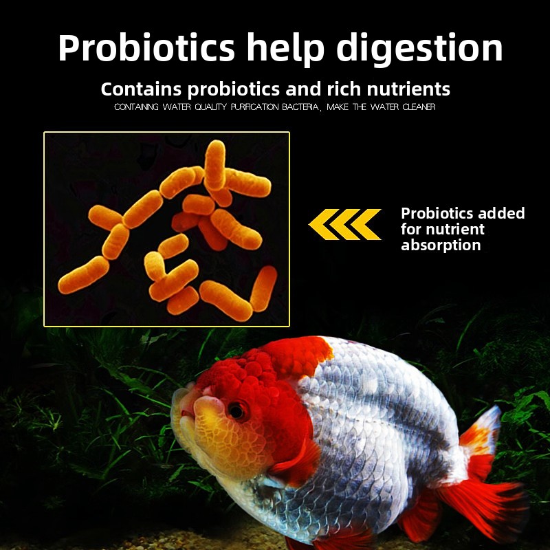 龍年色強化金魚・錦鯉用飼料、アスタキサンチン配合浮上性ペレッ - Aquarium Fish Vitamin のレビューと価格