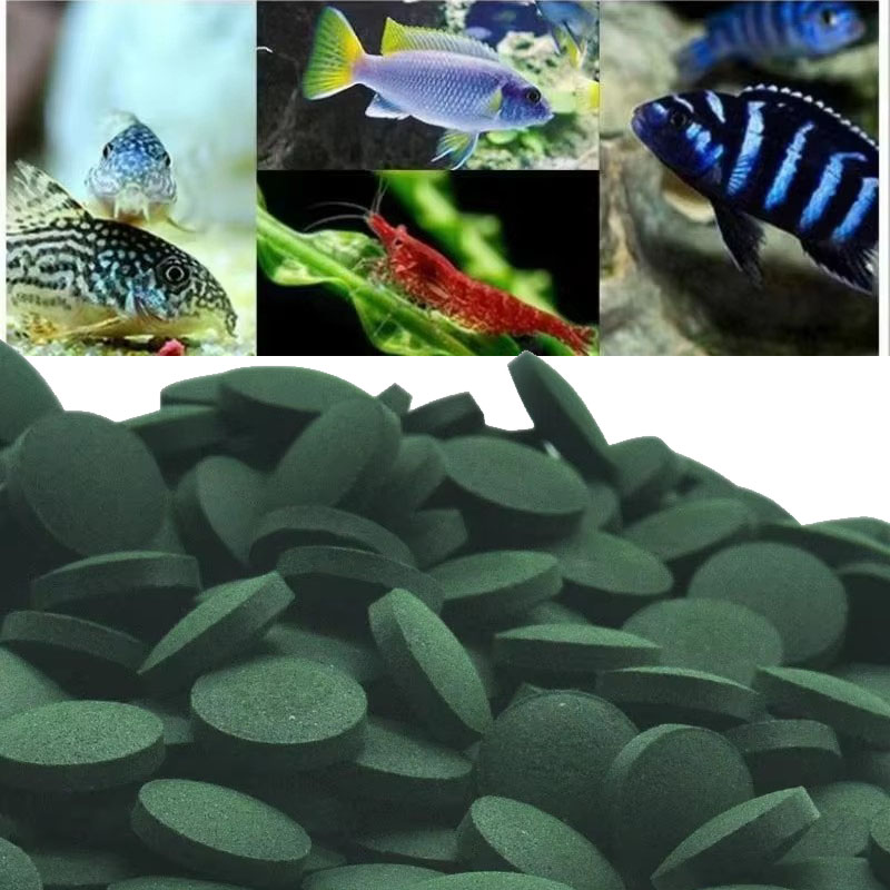 50/100/300/500 個スピルリナ錠剤螺旋状海藻濃縮 - Aquarium Fish Vitamin のレビューと価格