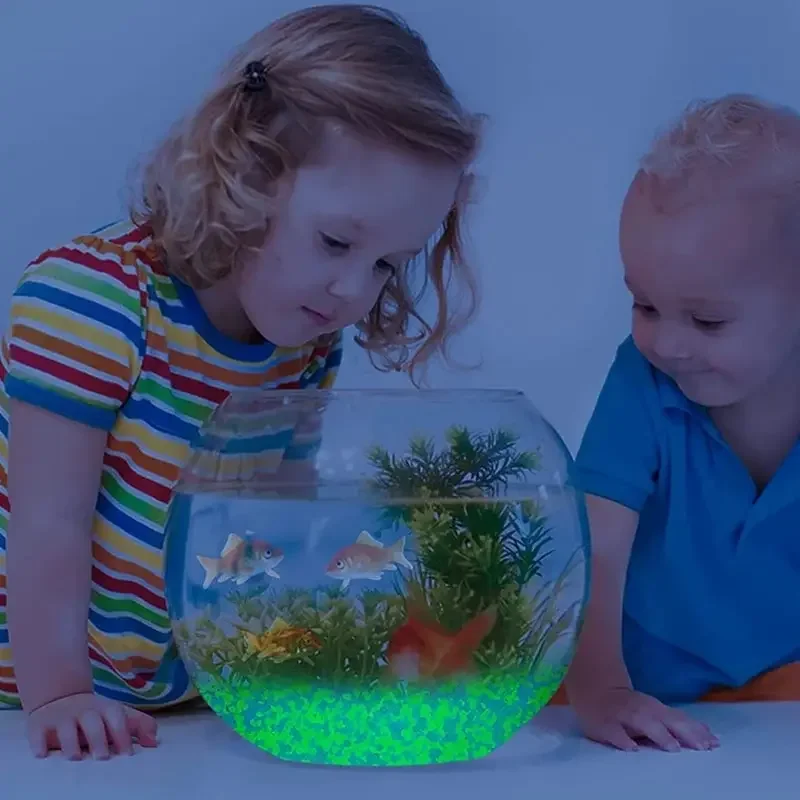 暗い小石の中で輝き、明るい砂岩、家の庭、庭、屋外の小道、芝生 - Aquarium Fish Guppy のレビューと価格
