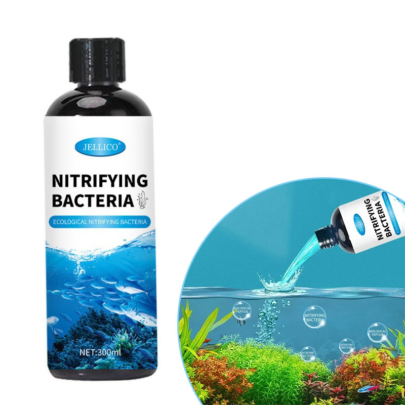 硝化菌液体水槽浄水器水族館養魚医療用品金魚鉢水処理製品 - Aquarium Fish Medicine のレビューと価格