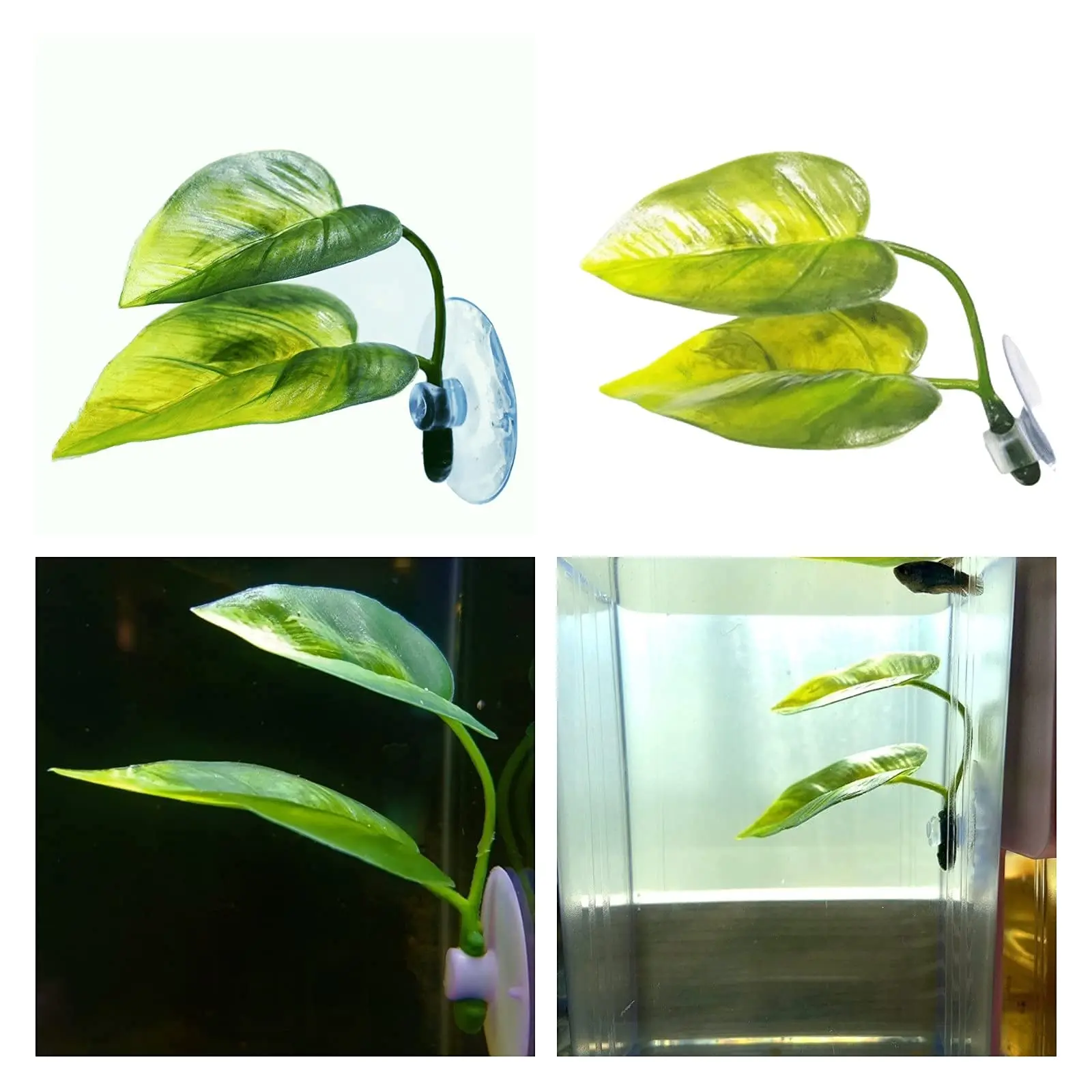 ペット水槽装飾 ベタ用 リラックス プレイプランツ 葉っぱ  - Aquarium Fish Games のレビューと価格