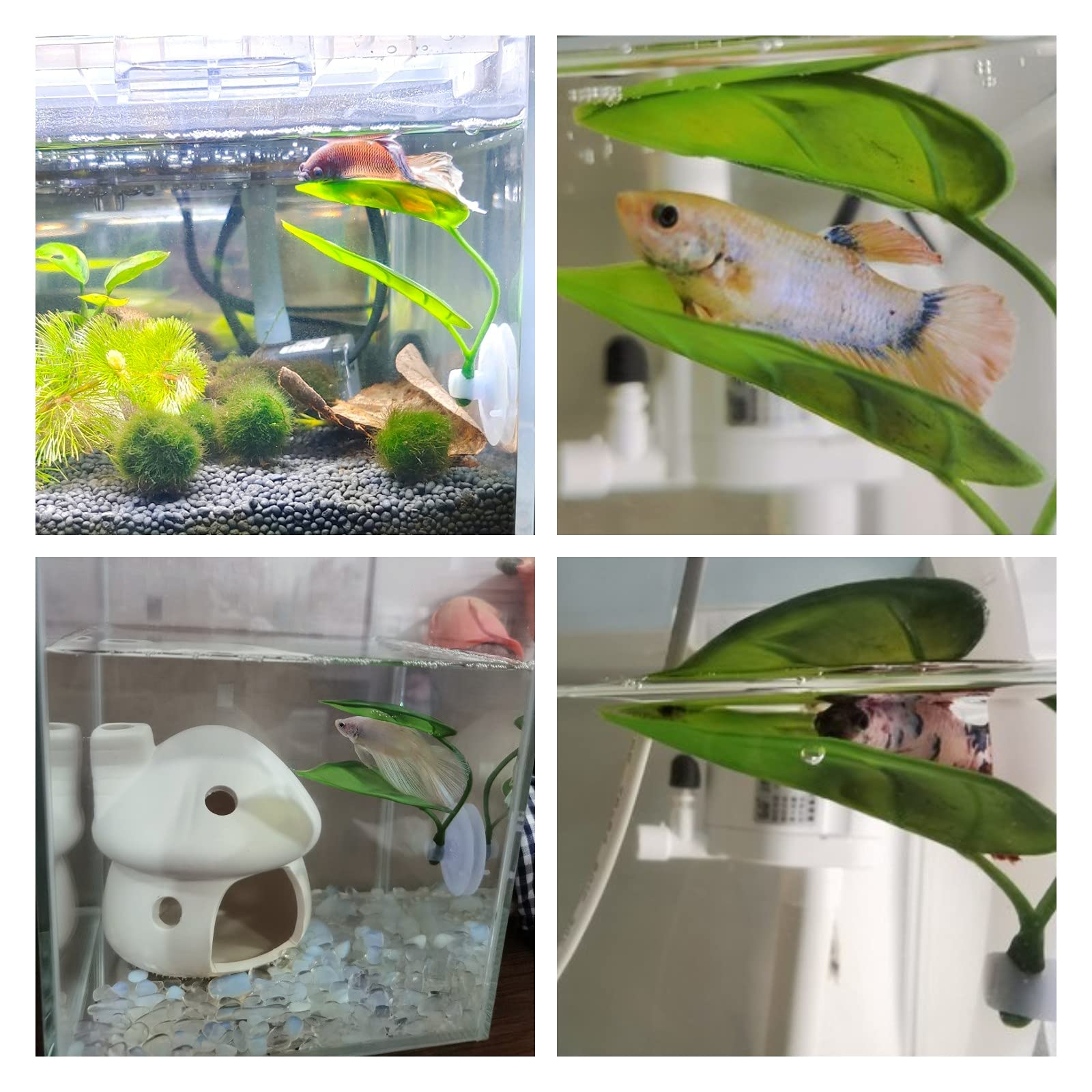 ペット水槽装飾 ベタ用 リラックス プレイプランツ 葉っぱ  - Aquarium Fish Games のレビューと価格