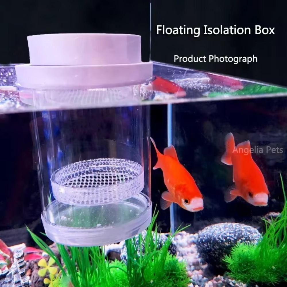 プラスチックフローティング魚飼育隔離ボックス水族館ブリーダー - Aquarium Fish Waste Collector のレビューと価格