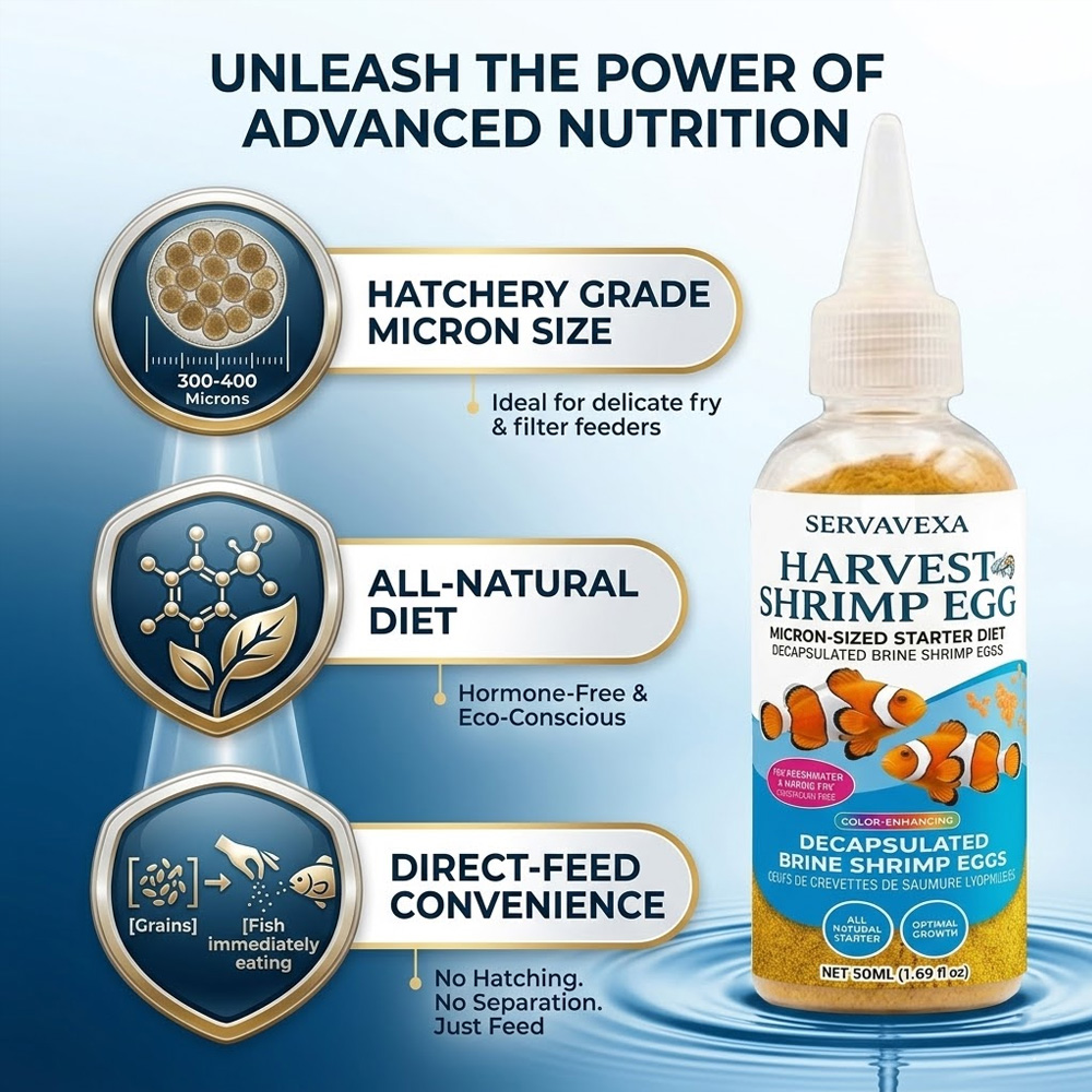 ベタ・グッピー稚魚用高タンパク質魚飼料 プレミアム水槽用飼料 - Aquarium Fish Vitamin のレビューと価格