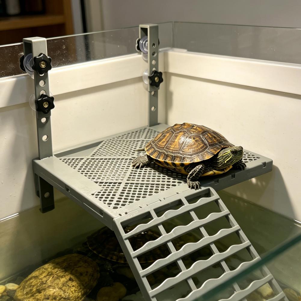 水槽用装飾品 固形吊り下げ式カメ用日光浴台 吸盤付き 滑り止 - Aquarium Fish Guppy のレビューと価格
