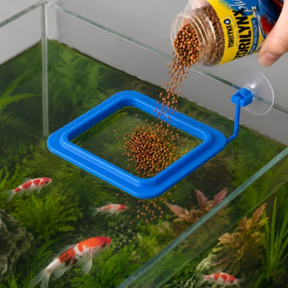 ベタ金魚熱帯魚用の浮遊給餌リングキット付き魚用ペレット栄養色 - Aquarium Fish Vitamin のレビューと価格
