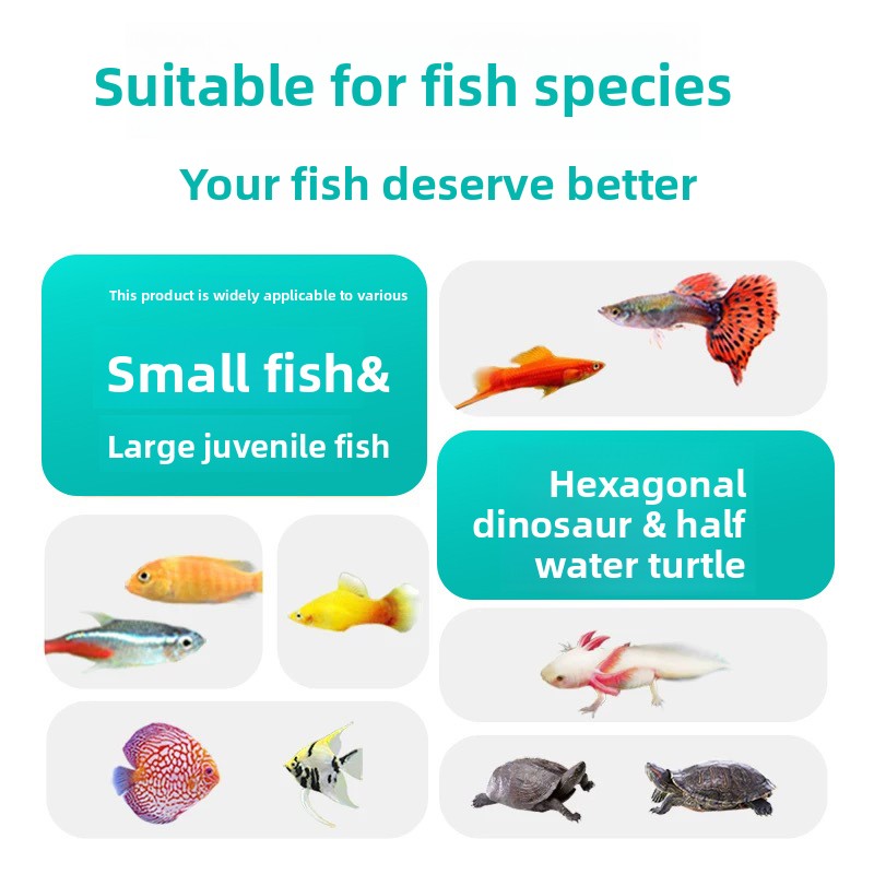 東宇江 フリーズドライミミズ、熱帯魚、アホロートル、金魚、グ - Aquarium Fish Vitamin のレビューと価格