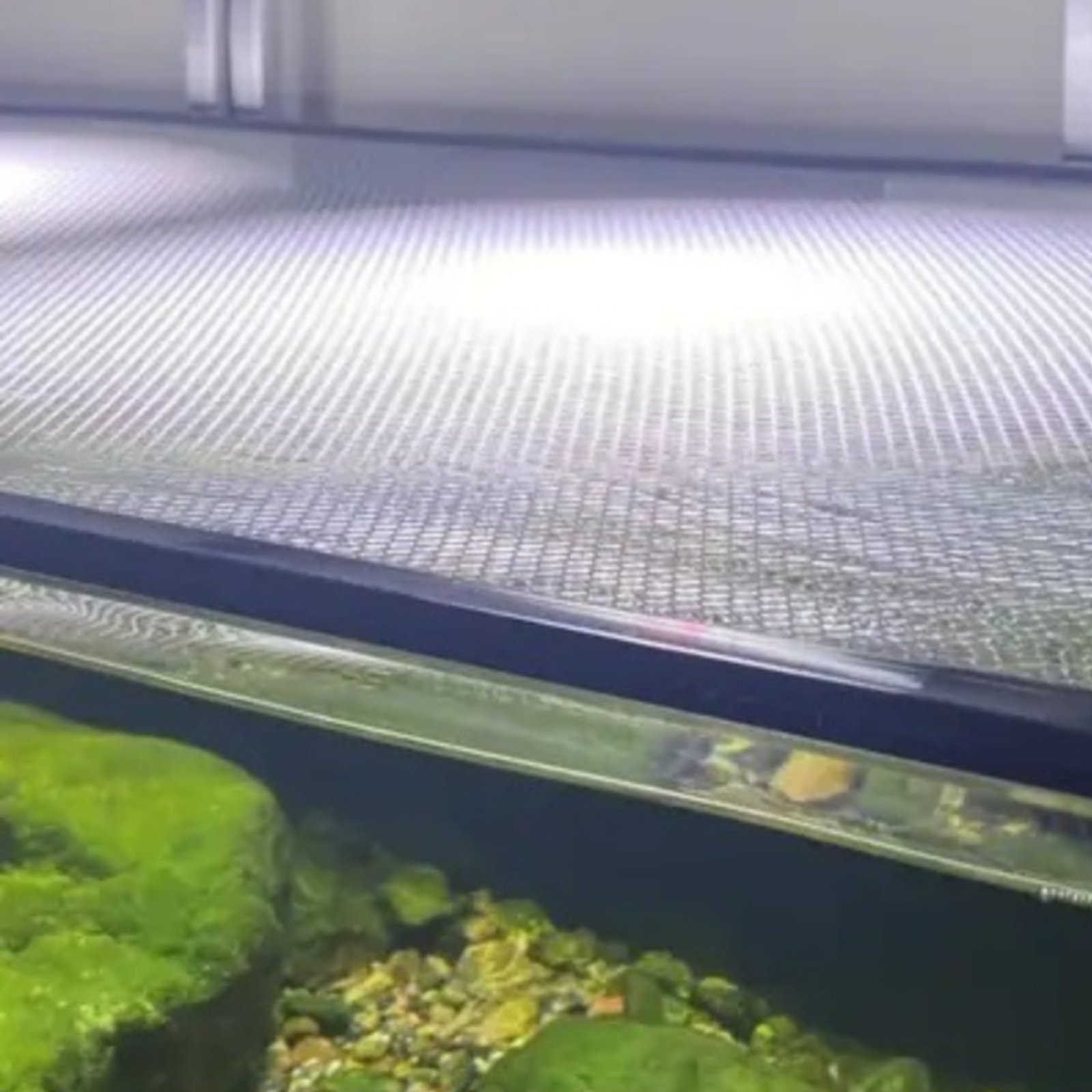 魚水槽ネットカバー クイックインストール水槽メッシュ蓋 魅力 - Aquarium Fish Jumping のレビューと価格