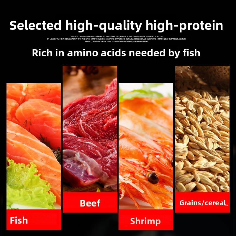 サンサン 錦鯉 観賞魚 金魚用飼料 高スピルリナ配合 色彩強 - Aquarium Fish Vitamin のレビューと価格